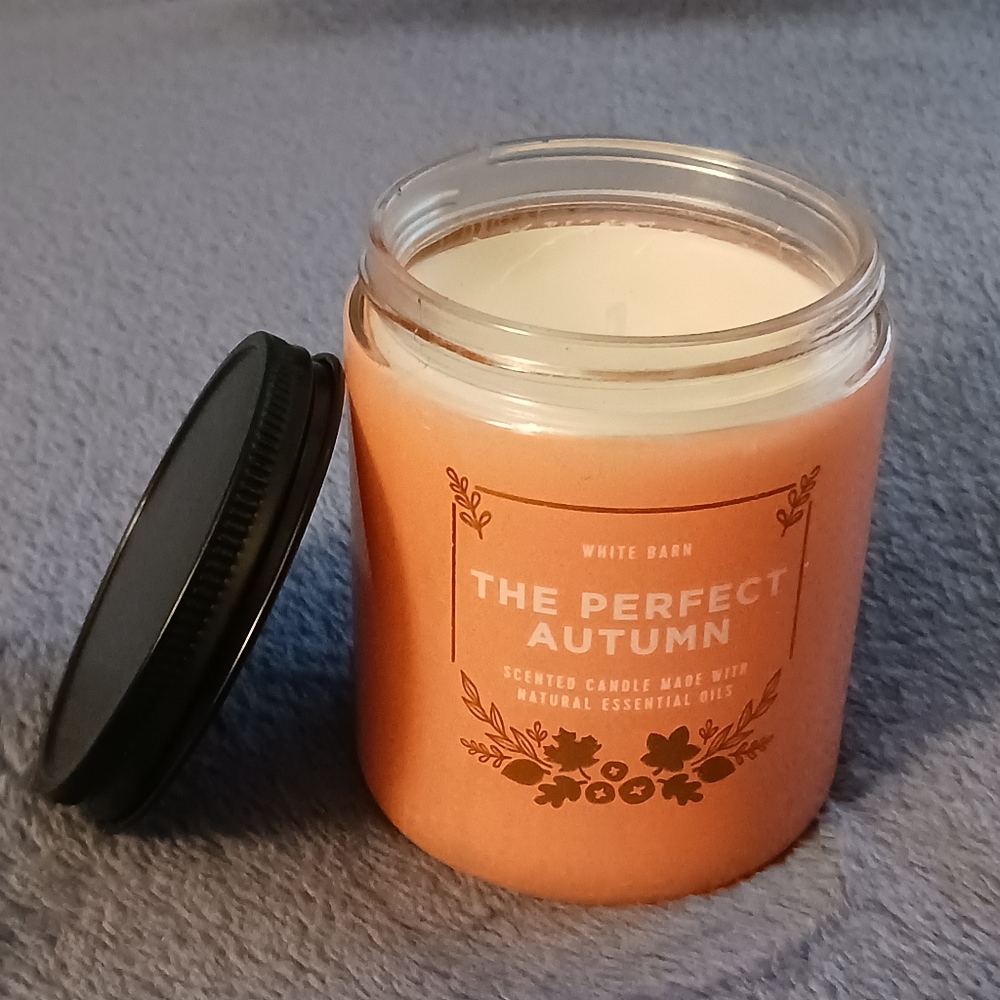 NEW | BATH And BODY WORKS SINGLE WICK CANDLE